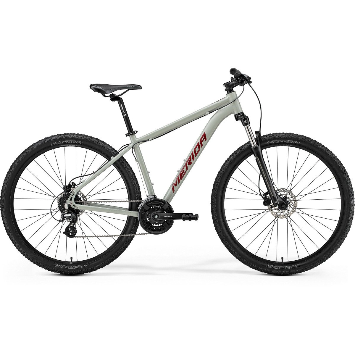 Merida Big.Nine 15 SE I1 silk early moss grey(red) dviratis