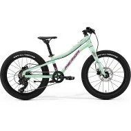 Merida Matts J.20+ I3 matt mint(purple/wht/blk) dviratis