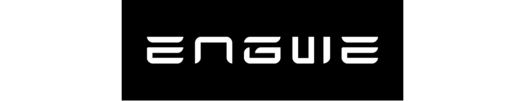 Engwe