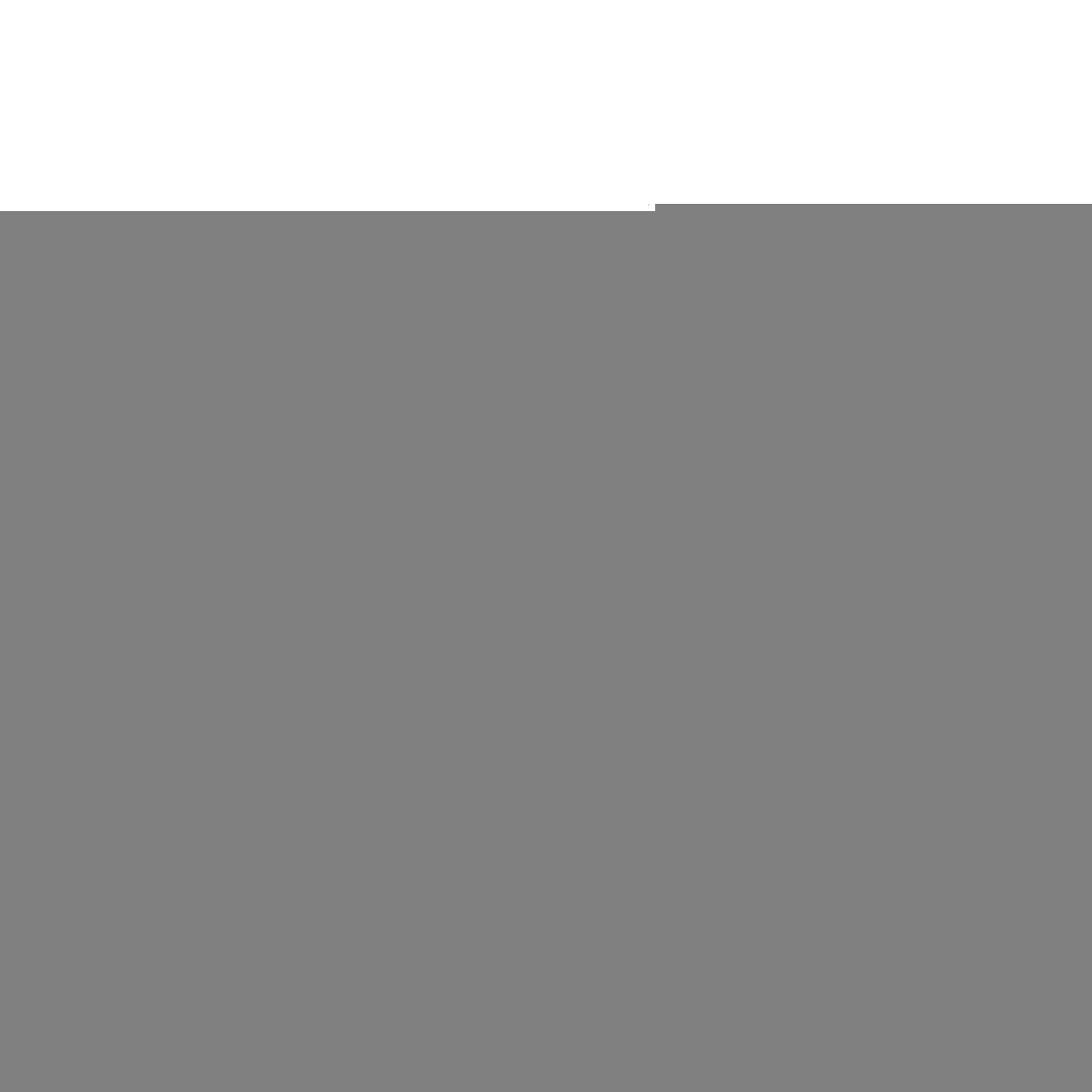 Ortlieb Velocity Lite Black kuprinė | 23L