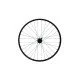 Shining 29" DB-X25 QR 6-Bolt FH galinis ratas