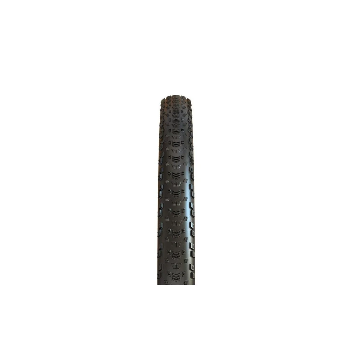 Maxxis 29 x 2.25 Aspen TR dviračio padanga sulankstoma | MaxxSpeed compound / e-bike 25 km/h