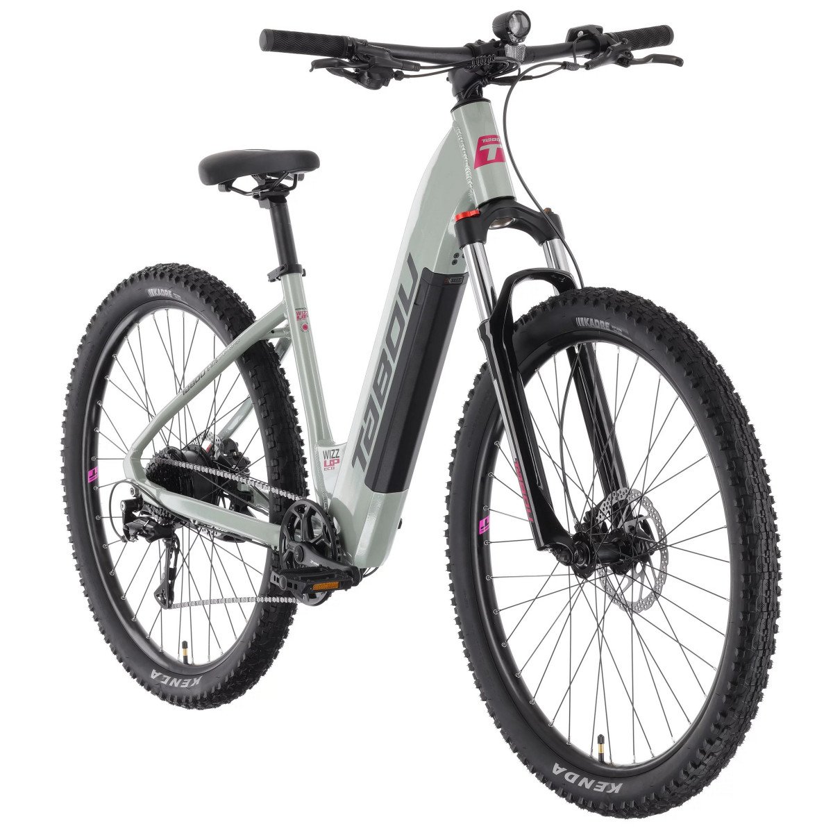 Tabou Wizz UP ECO 29 chameleon-fuxia elektrinis dviratis
