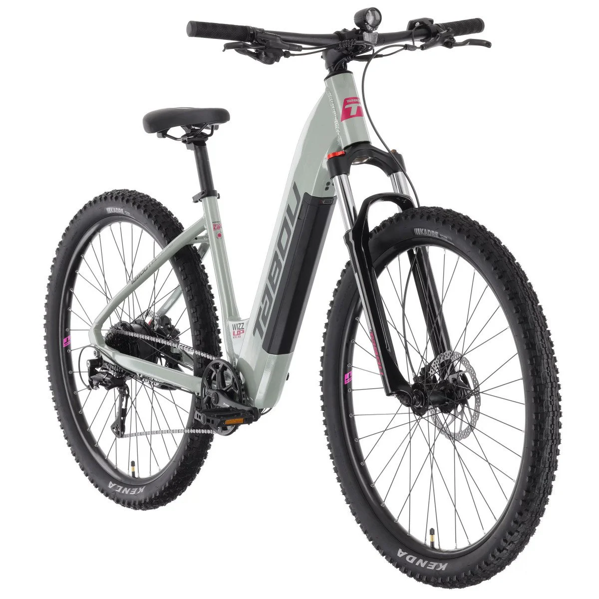 Tabou Wizz UP ECO 29 chameleon-fuxia elektrinis dviratis
