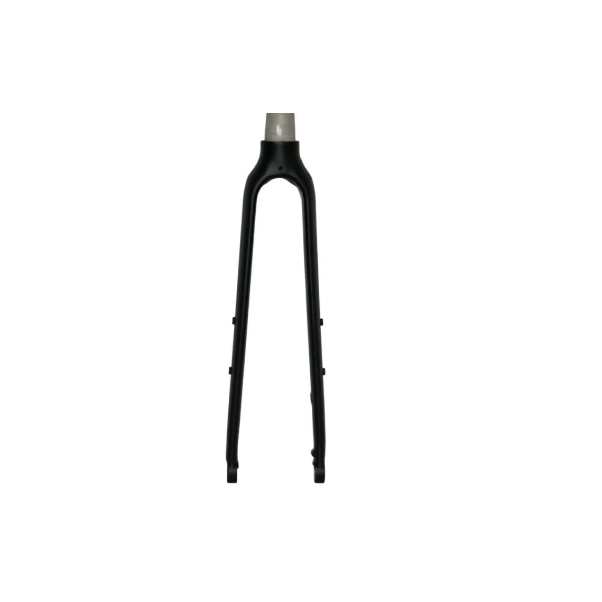 LF Rigid 700C 12x100mm Šakė | thru axle D-brake