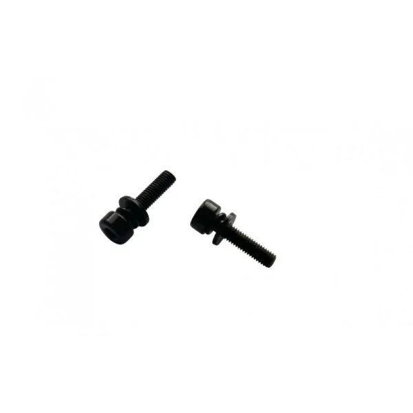 Promax 21 mm x M5 Varžtai Flat Mount diskiniams stabdžiams