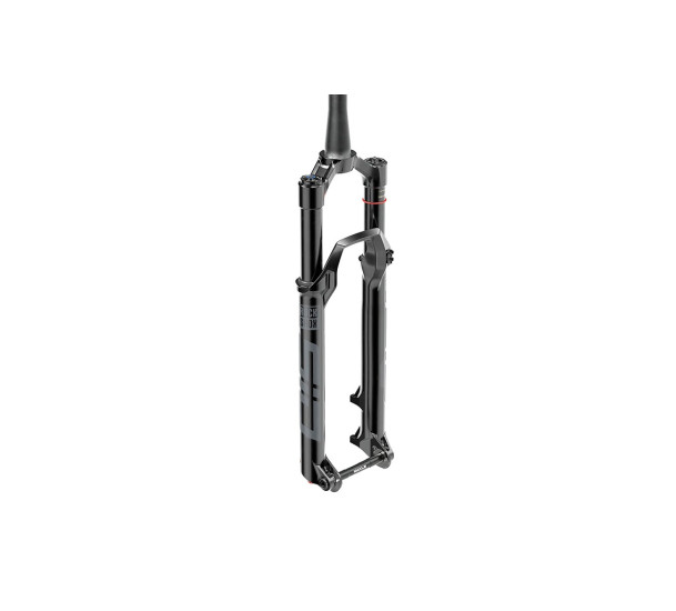 Šakė RockShox SID Select 2P 29" 120mm