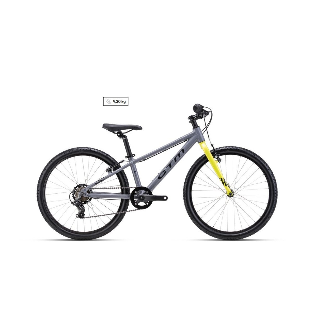 CTM Benny 24" - 2026 - gray dviratis