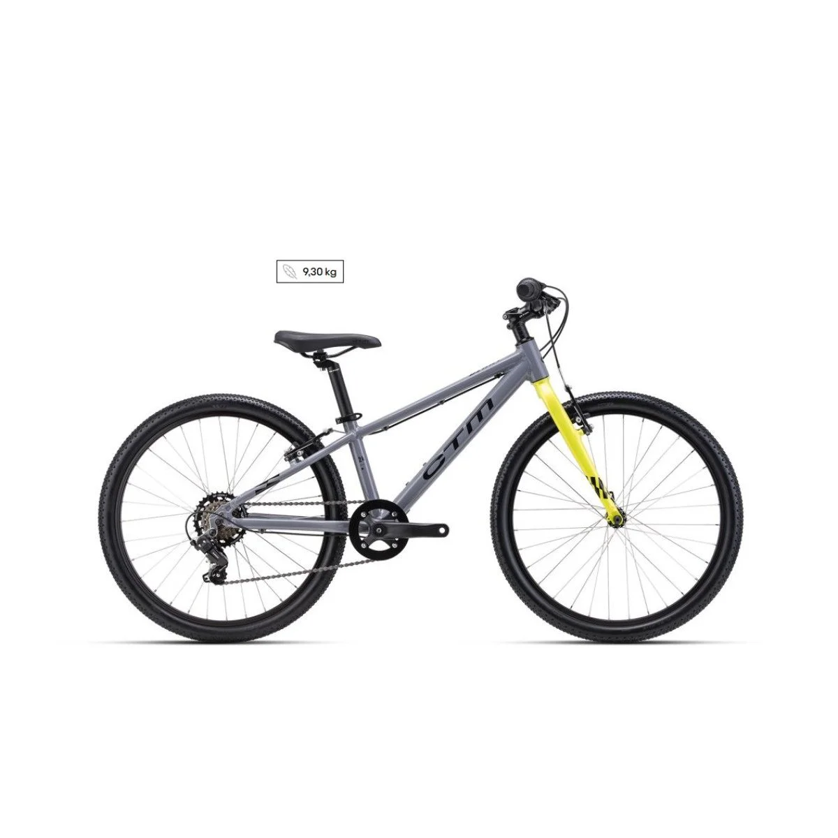 CTM Benny 24" - 2026 - gray dviratis