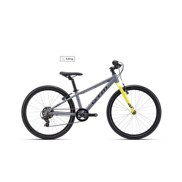 CTM Benny 24" - 2026 - gray dviratis
