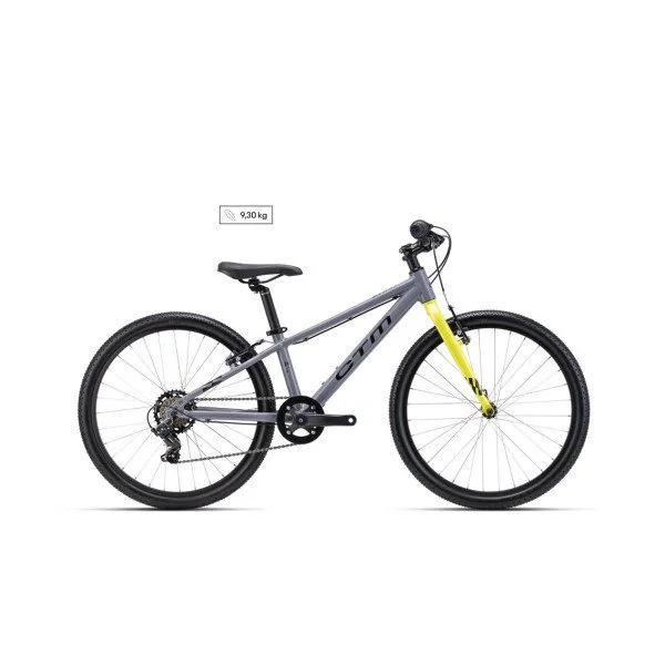 CTM Benny 24" - 2026 - gray dviratis