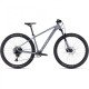 Cube Access WS SLX 29“ Grey'n'silver