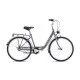 CTM Olivia 3.0 26'' matt dark gray / gold 2025 dviratis