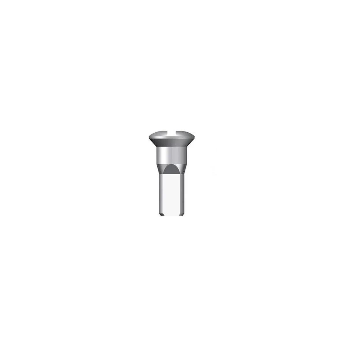 Sapim 12G Round Head Brass Silver stipinų galvutė | 1vnt