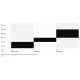 CTM Stark 2.0 29" 2026 Grey dviratis