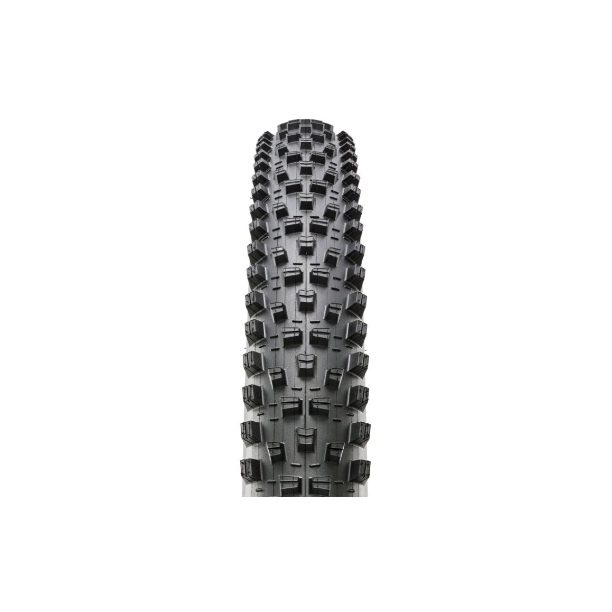 Maxxis 29 x 2.40 WT Forekaster TR padanga