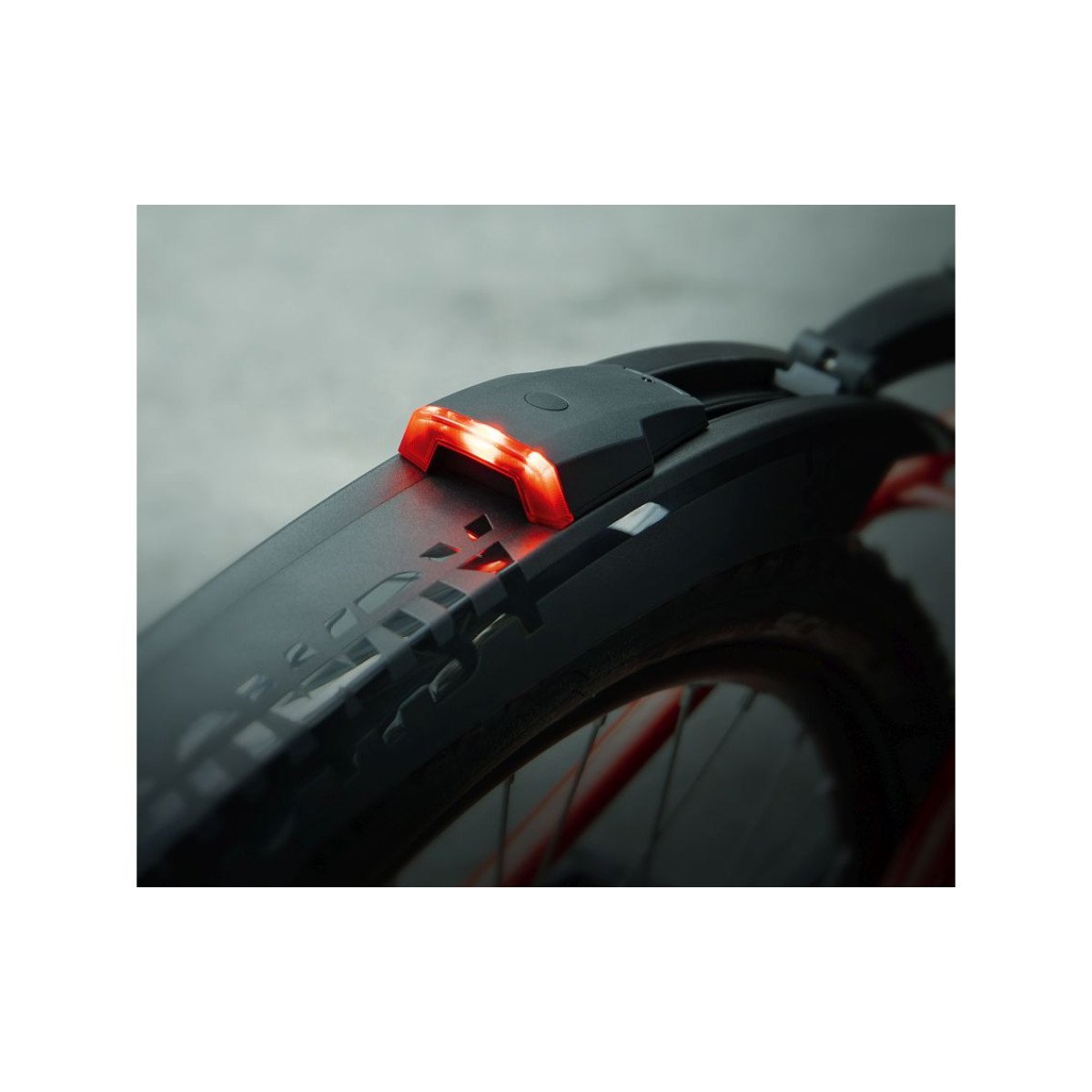 SKS Rowdy galinis žibintas | USB-C jungtis