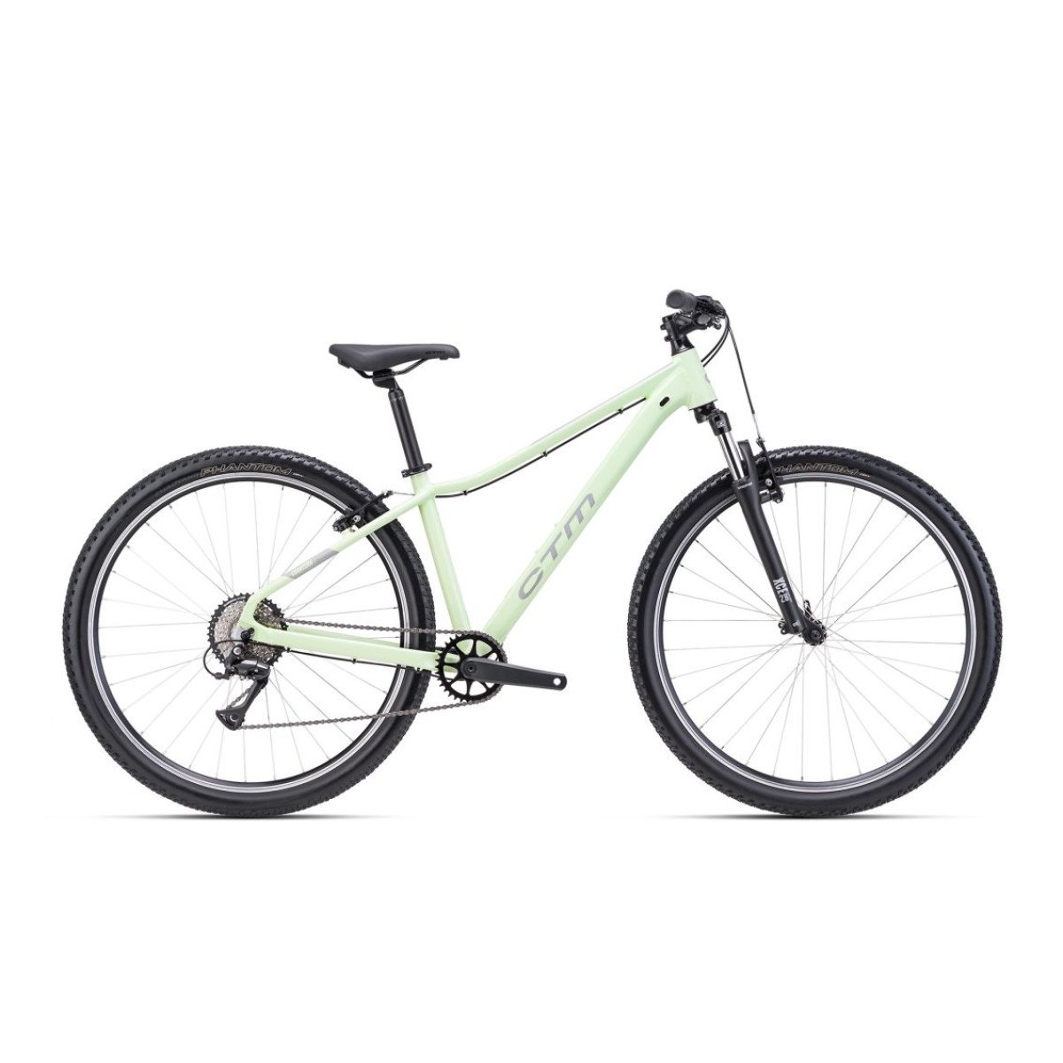 CTM Charisma 1.0 29" Pastel green / gray 2025 dviratis