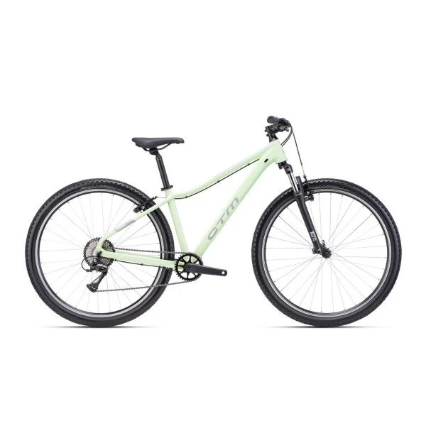 CTM Charisma 1.0 29" Pastel green / gray 2025 dviratis