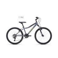CTM Berry 24" - 2026 - matt gray dviratis