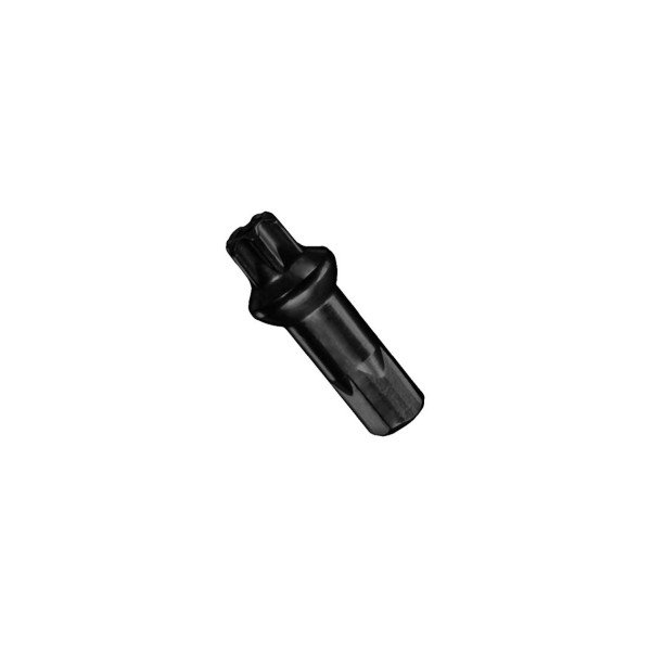 DT Swiss Pro Lock Squorx Pro Head 14G 2x15 mm BRASS Stipinų galvutė | black