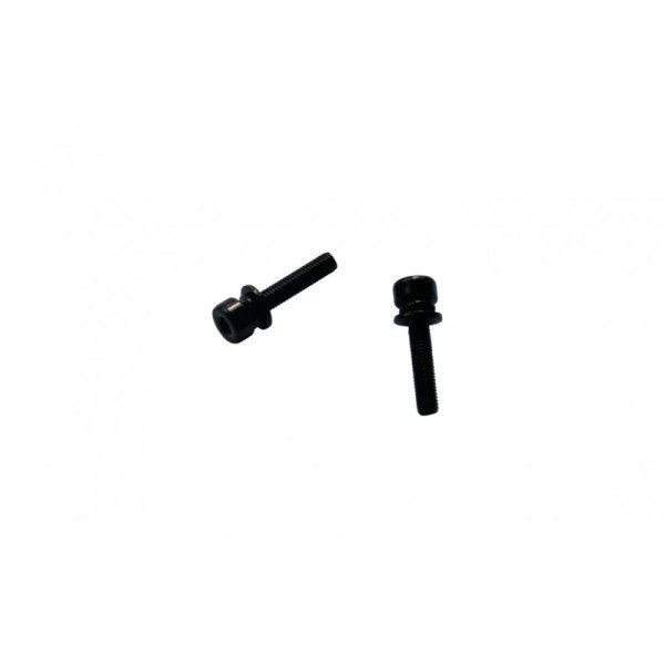 Promax 26 mm x M5, 2 vnt Varžtai Flat Mount diskiniams stabdžiams