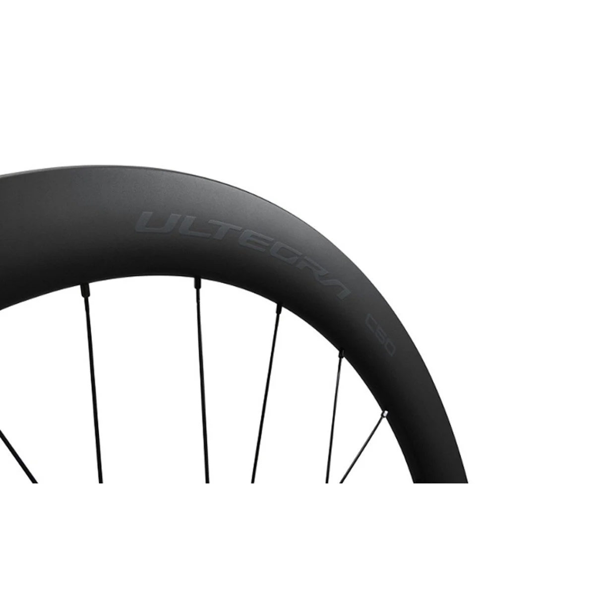 Shimano 28" WH-R8170-C50 Ratas priekinis