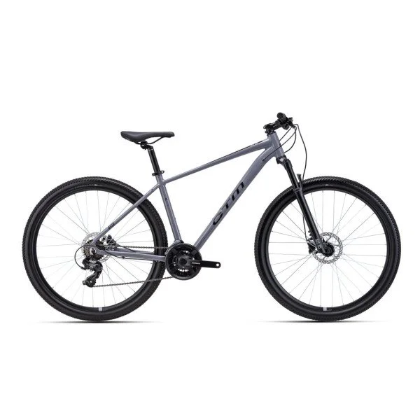 CTM Rein 2.0 29" - 2026 - gray dviratis