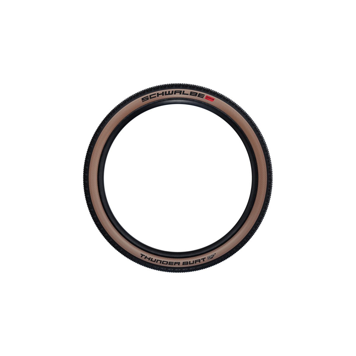 Schwalbe 29 x 2.35 Thunder Burt Padanga