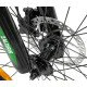 Romet Žalgiris R6 black-green