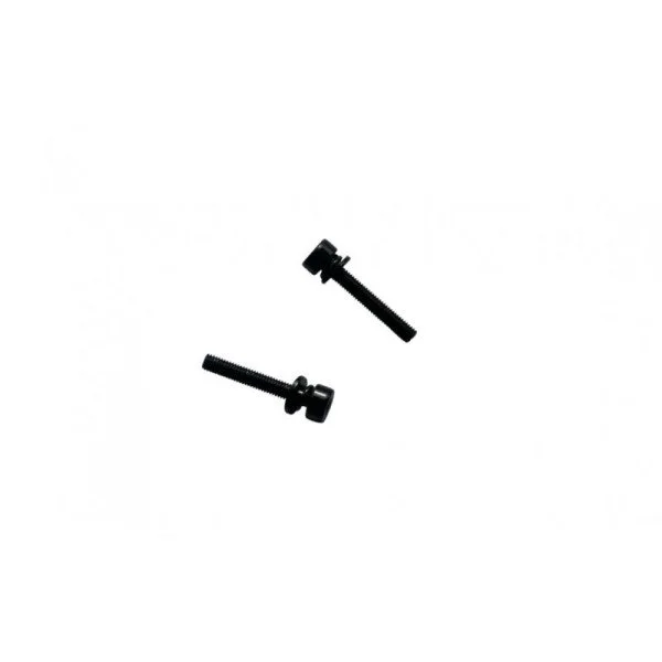 Promax 31 mm x M5, 2 vnt Varžtai Flat Mount diskiniams stabdžiams
