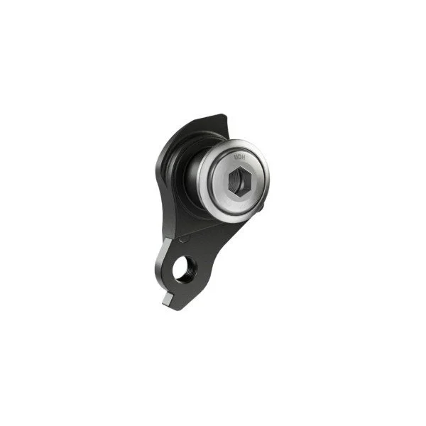 SRAM UDH Universal Silver galinio perjungėjo auselė