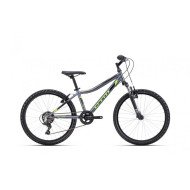 CTM Berry 24'' matt gray / neon green 2025 dviratis