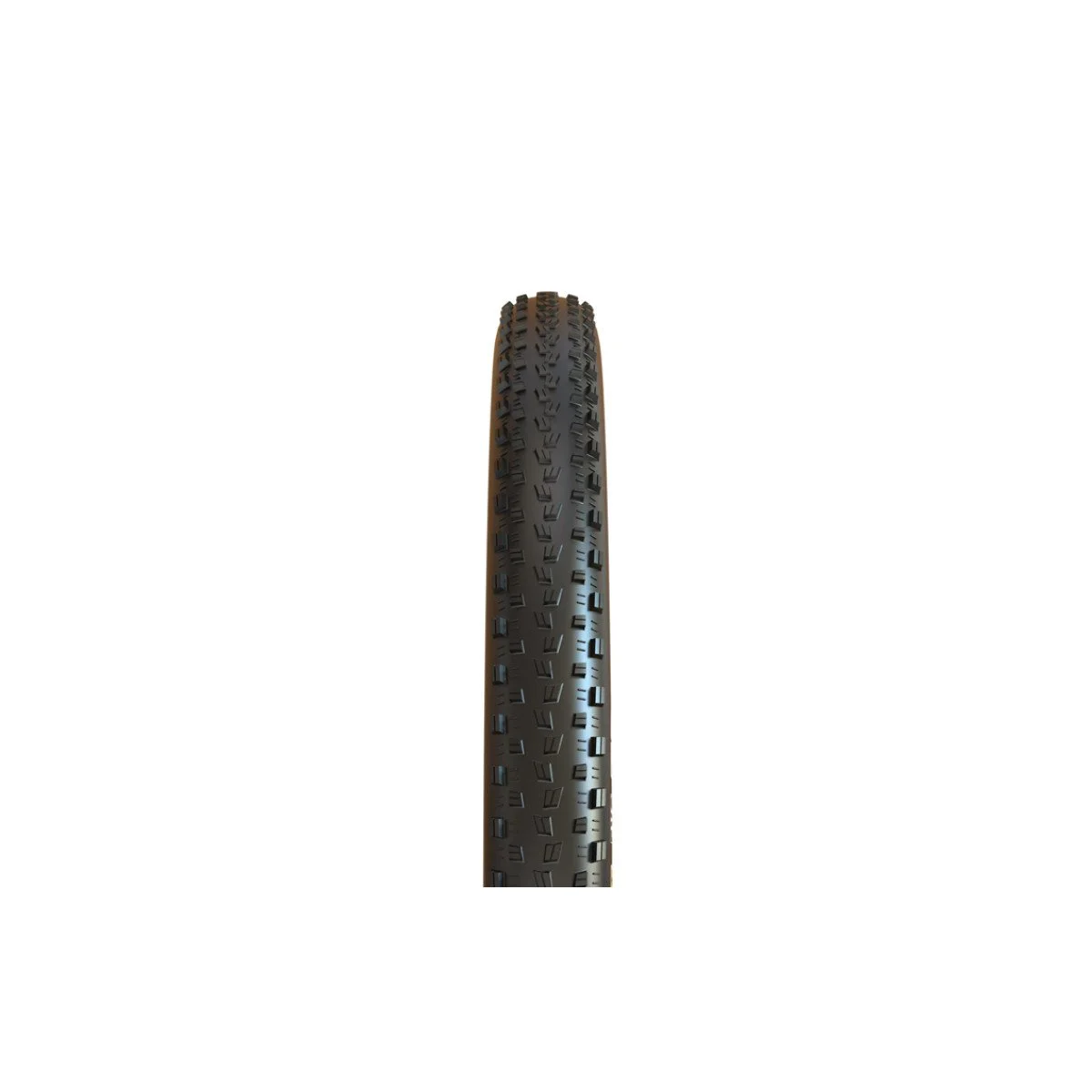 Maxxis 29 x 2.25 Severe TR Dviračio padanga