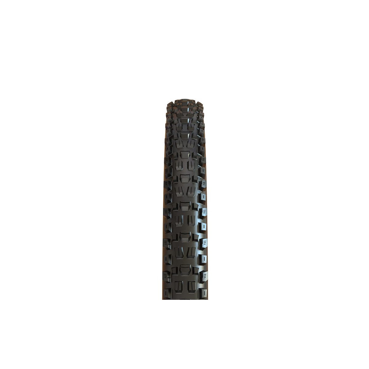 Padanga Maxxis 29 x 2.50 WT Assegai TR Maxx Grip EXO+