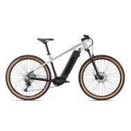 Elektrinis dviratis CTM Wire Xpert e-MTB 29" green-beige pearl - matt black