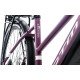 Elektrinis dviratis CTM Senze e-Trekking 29" Purple matt-Grey