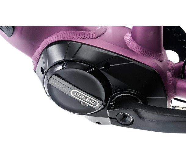 Elektrinis dviratis CTM Senze e-Trekking 29" Purple matt-Grey