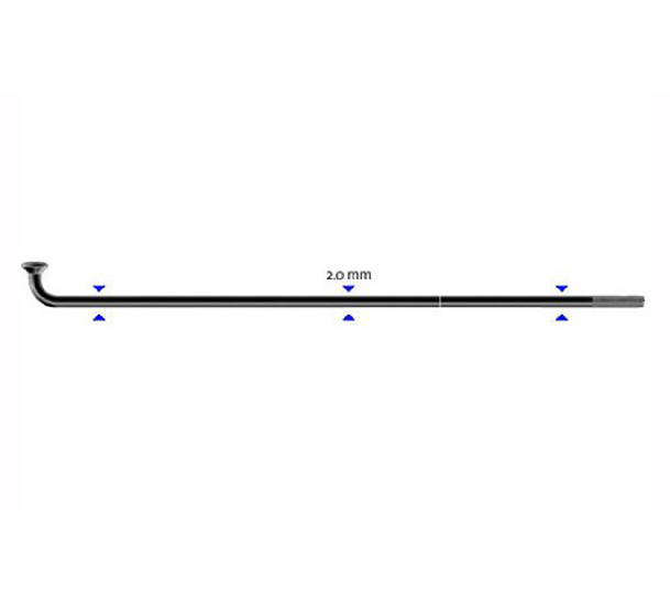 Stipinas 2 x 290mm Sapim Leader J-Bend C-GNLE1429000 ZOI