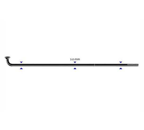 Stipinas 2 x 296mm Sapim Leader J-Bend C-GNLE1429600 ZOI