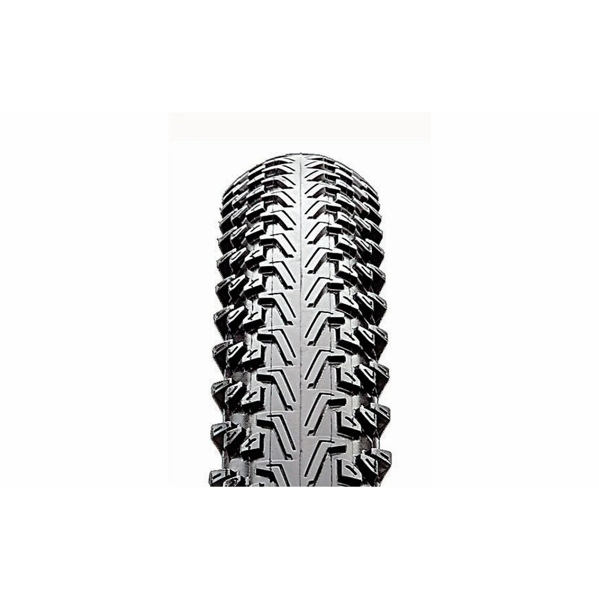 Padanga CST 26 x 1.95, C1436