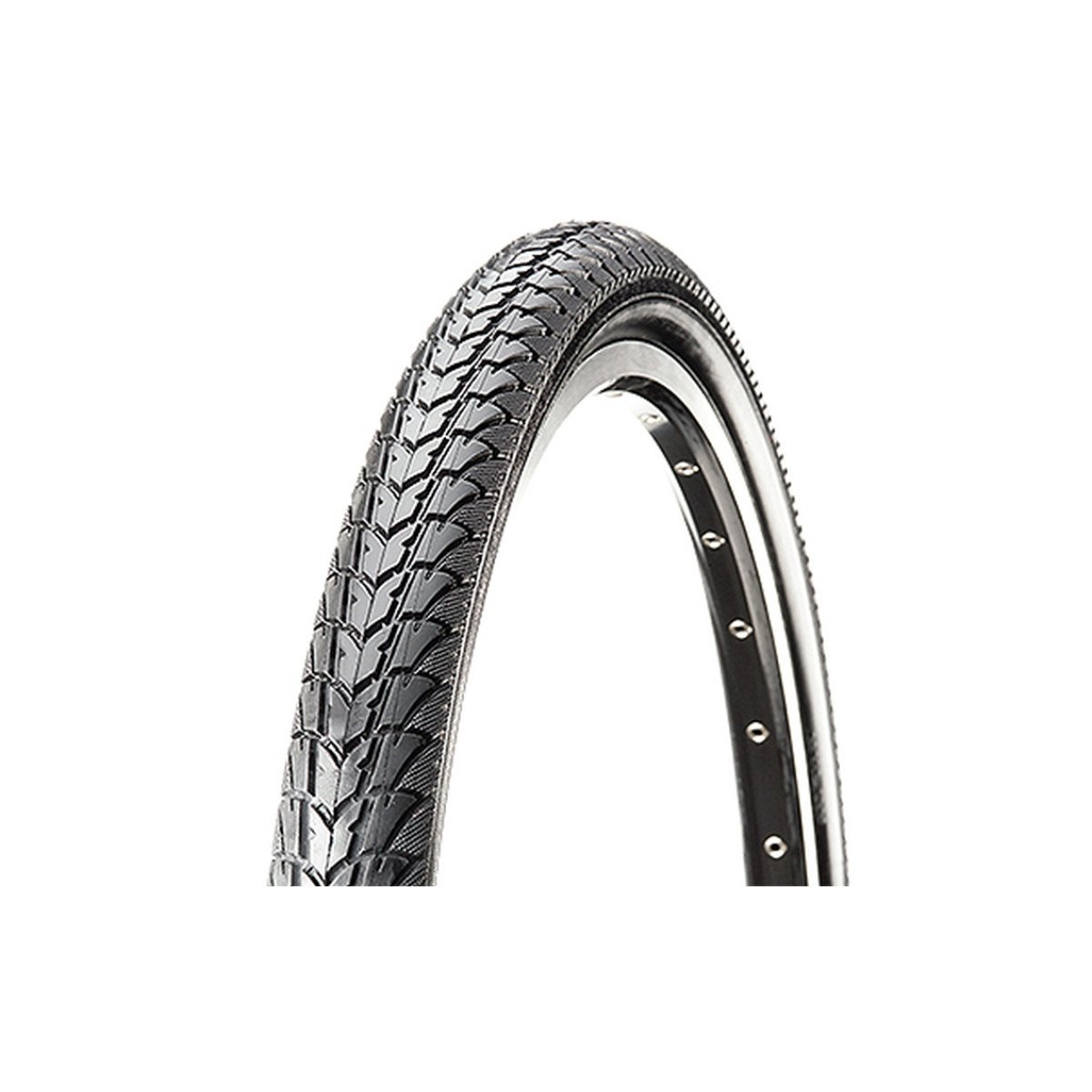 Padanga CST 26 x 1.95, C1446