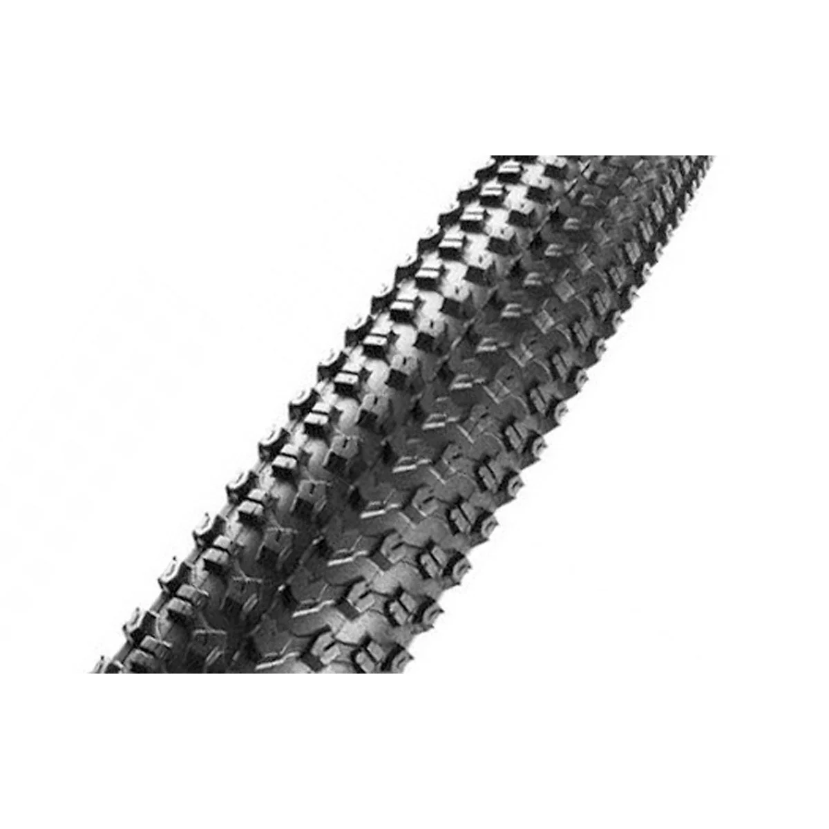 Padanga CST 29 x 2.10, C1820