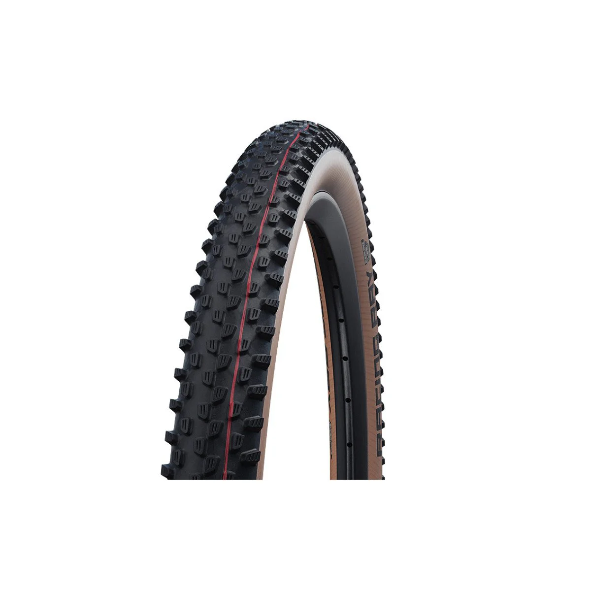 Padanga Schwalbe 29 x 2.25 Racing Ray Super Race