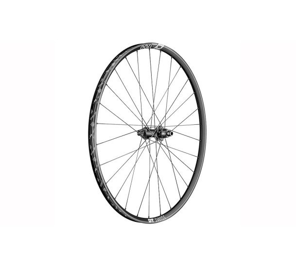 Ratas galinis 29" DT Swiss XR1700 Spline