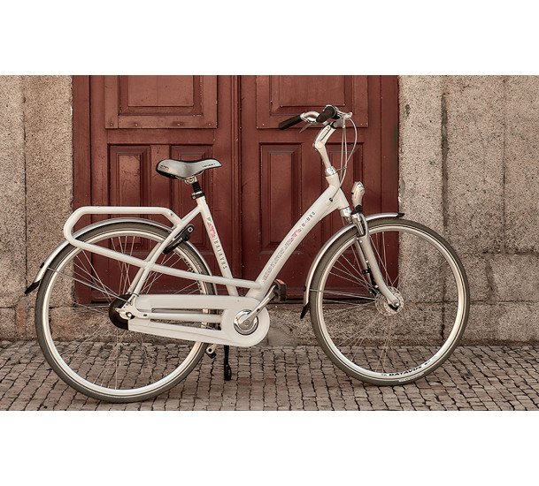 Purvasaugių komplektas Polisport 28" Towny - 8628200002