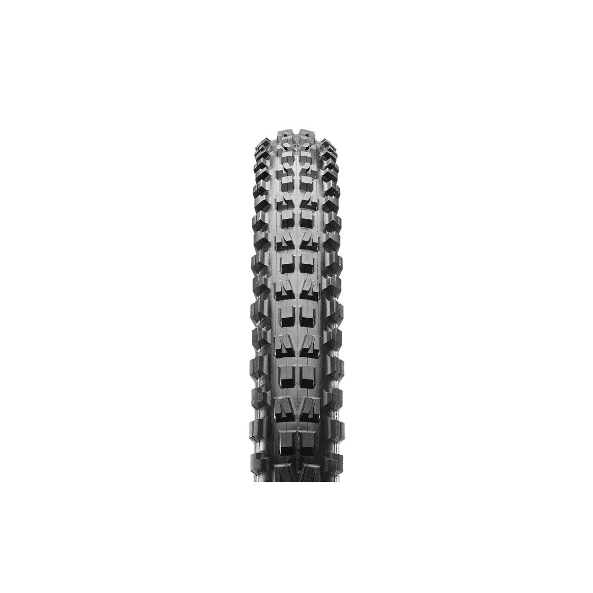 Padanga Maxxis 29 x 2.50 Minion DHF