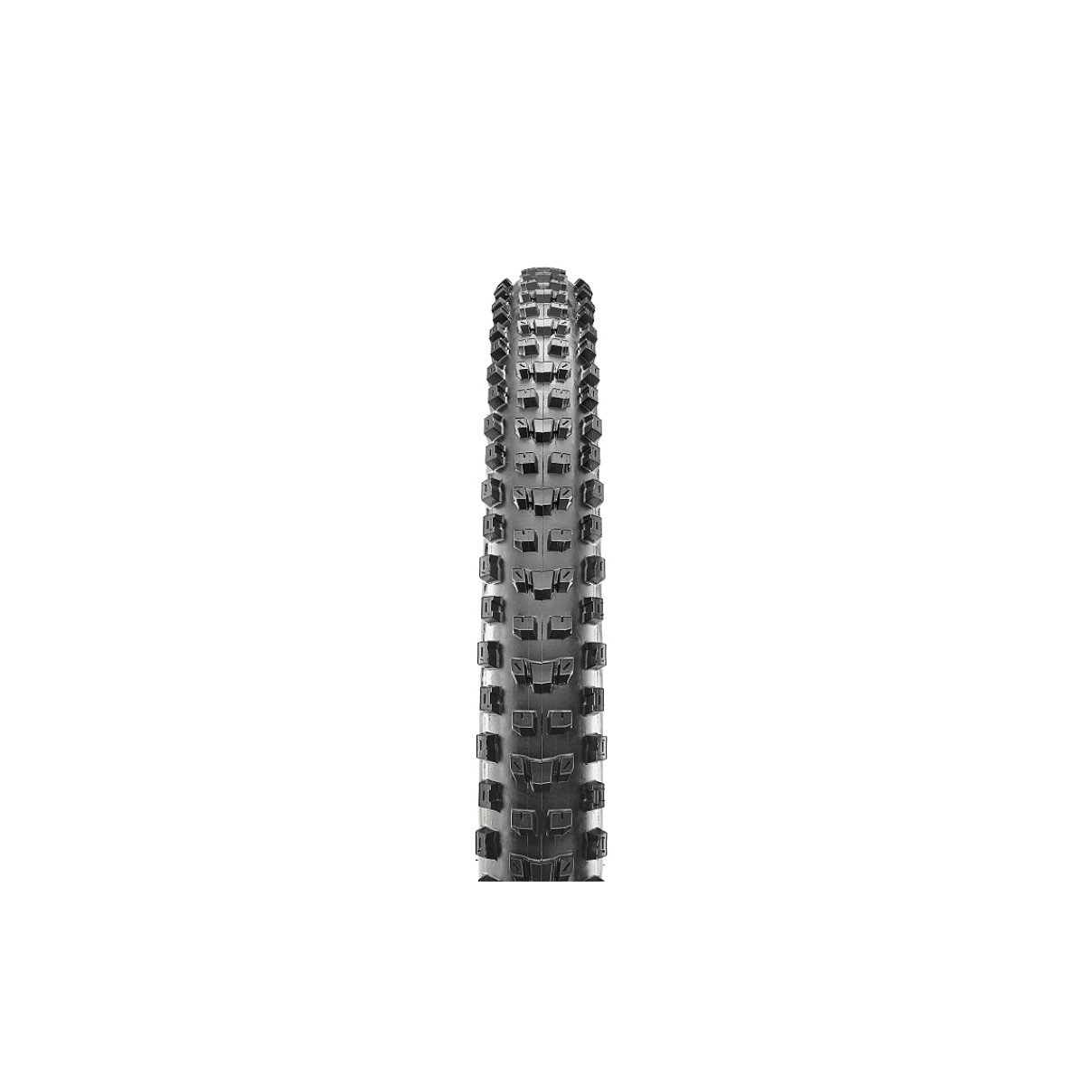 Padanga Maxxis 29 x 2.60 Dissector TR