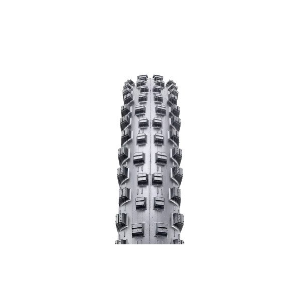 Padanga Maxxis 29 x 2.40 WT Shorty TR