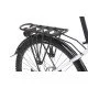 Elektrinis dviratis Levit Musca MX 630 e-Trekking 28" White pearl